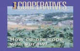 1032239 Rur Coop-July/Aug0 PDF - USDA Rural … Waving the red flag Survey examines correlation between ethical environment and fraud in co-ops By Tommie Singleton, Frank Messina and