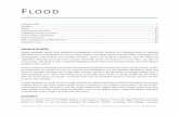 FLOOD - Guadalupe-Blanco River Authority · flood impact in terms of severity or potential harm, while Figures 5‐1 through 5‐28 depict the flood location and ...