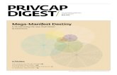 privcap Digest Digest / May 2013 / 3 professionals from the following firms and organizations recently appeared on privcap: New Mountain Capital • ConceptONE • Cambridge Associates