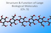Structure & Function of Large Biological Molecules (Ch. 5)staff.katyisd.org/sites/1300770/Documents/AP Biology/Unit 2 - Water... · (Ch. 5) Macromolecules ... macromolecules: –carbohydrates