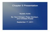 Chapter 5 Presentation - Quia · Chapter 5 Presentation Nucleic Acids By: Sam Erlinger, ... Nucleic acids store and transmit hereditary information ... Ribosomes synthesize proteins