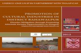 PROMOTION OF CULTURAL INDUSTRIES IN DISTRICT BAHAWALPURunesco.org.pk/culture/documents/Progress_Report_pcsb.pdf · UNESCO ‐ONE UN JP IN PARTNERSHIP WITH THAAP‐CAS 2012 PROMOTION