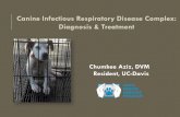 Canine Respiratory disease - Amazon S3s3.amazonaws.com/sheltermedicine/ckeditor_assets/...•Exception: distemper •Flu: short incubation period at 2-5 d •Variable duration of illness