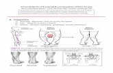 Checklist for Physical Examination of the Kneeunmfm.pbworks.com/w/file/fetch/112906204/Knee examination.pdfChecklist for Physical Examination of the Knee ... E. Special Tests 1) Patellar