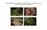 Southern macadamia species recovery plan - Department …environment.gov.au/.../files/southern-macadamia-species.pdf · the northeast New South Wales-southeast Queensland coastal