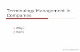 Terminology Management in Companies - TermNet€¦ ·  · 2014-06-17With Terminology Management customer documentation return key marketing return key training ... Both activities