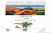 GUIDELINE ON IRRIGATION AGRONOMY - wocatpedia.net ·  · 2012-08-24IRRIGATION AGRONOMY ON. ... +251-1-6462373 Fax: +251-1-6462366 ... Approximate duration of crop growth stages for