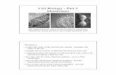 Cell Biology - Part 2 Membranes - Nicholls State Universitynicholls.edu/biol-ds/biol155/Lectures/Membranes 2.pdf · Cell Biology - Part 2 Membranes ... This will inflate the cell.