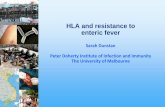 HLA and resistance to enteric fever - Take on Typhoid · HLA and resistance to enteric fever ... Stability of association across non-typhoid infectious and non ... Case Control Case
