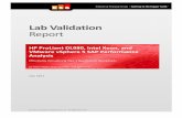 Lab Validation Report - Intel Validation Report ... This report presents the results of ESG Lab testing of the ... objectives during this first wave of virtualization are consolidation,