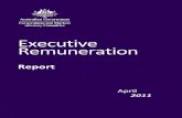 R Executive Remuneration - CAMACfile/Executive_remuneration_re… ·  · 2014-11-28arrangements and remuneration reporting for directors and other key ... directors and senior executive