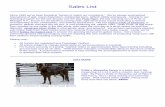 Absaroka Tennessee Walking Horses -- Sales Listmy.montana.net/draa/tnwalk/sales.pdf · Sales List. Since 1980 we’ve been breeding "horses to match our mountains." We've always emphasized