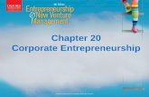 Chapter 20 Corporate Entrepreneurship - Edu @ …thinus.weebly.com/uploads/3/0/6/3/30633117/chapter_20.pdfCorporate entrepreneurship culture Steps to find, support and nurture a firm’s