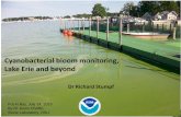 Cyanobacterial bloom monitoring, Lake Erie and … Region 10 March 2016 R. Stumpf NOAA #1 Cyanobacterial bloom monitoring, Lake Erie and beyond Dr Richard Stumpf Put-in Bay, July 24,