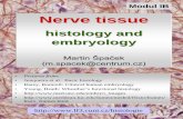 histology and embryology - CBO - Oddělení histologie a …histologie.lf3.cuni.cz/histologie/materialy/doc/nerve... ·  · 2005-01-13Modul IB Nerve tissue histology and embryology