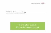 Trade and Environment - WTO ECampus ·  · 2014-07-28Through its goals, rules, ... II.D. Evaluation and Certificate ... EMERGING ENVIRONMENT DEBATE IN THE GATT ...