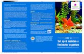 Set up & maintain a freshwater aquarium - Dobbies … to Set up & maintain a freshwater aquarium and ornaments can provide less boisterous and reclusive fish with a safe retreat. The