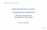 North Aleutian Basin, Alaska Energy/Fisheries Workshop ... · Shell Exploration & Production Page 4 North Aleutian Basin, Alaska Energy/Fisheries Workshop Offshore Oil and Gas Development