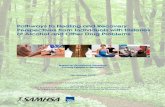 Pathways to Healing and Recovery: Perspectives from ... · Addiction Energy Healing (the Lenair Technique) ... Bodywork (e.g., yoga, traditional Chinese medicine, and Addiction Energy