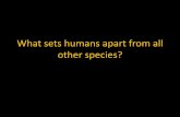 What sets humans apart from all other species? - West Linn€¦ · closely related. ... Kartvelian, Uralic-Altaic, Afro-Asiatic and Dravidian language families. ... • Best known