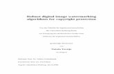 Robust digital image watermarking algorithms for copyright ... · thesis is concerned with the design of robust digital image watermarking algorithms for ... 4.2.3 Invariant domains