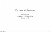 Persistent Infections - virology€¢ Persistent infection of these organs is therefore ... !- a slow infection, not persistent ... !- interrupt program of terminal differentiation,