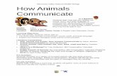 How Animals Communicate - U.S. Fish and Wildlife … Animals Communicate...How Animals Communicate ... Why do animals sound different from each other? ... o Ear movement o Showing