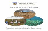 Plant Production Systems Marine Systems - … 2014 SCHOOL OF PLANT BIOLOGY Research Project ideas for Prospective 4th Year, Honours, Postgraduate Diploma, MSc and Higher Degree Preliminary