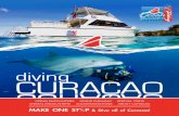 CURACAO MAKE ONE STOP & Dive all of Curacao! curaÇao ive curacao ocean encounters diving curaÇao special trips animal encounters accommodations about curacao make one stop & dive