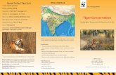 Lifespan (in wild): Tiger Conservation - WWF-Indiaassets.wwfindia.org/downloads/tiger_primer.pdf · respect when visiting any wilderness area. Do not light fires inside a forest.