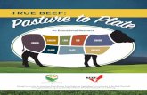 TRUE BEEF - American Farm Bureau Federation ISD’s documentary “True Beef: From Pasture to Plate.” There are . ... SUGGESTED TOPICS TO ADDRESS IN SUBSEQUENT CLASS …