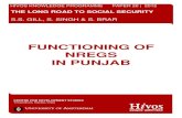 FUNCTIONING OF NREGS IN PUNJAB Authors: Sucha Singh Gill, Director General Centre for Research in Rural and Industrial Development, Chandigarh Sukhwinder Singh, Professor of Economics