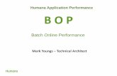 Batch Online Performance - Confex · BOP Team resume 3 The ... address space on the MF such as: CICS, IDMS, MQ series, ... • Basically a COBOL stored procedure is performing SQL