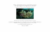 The distribution and diversity of sponges in Spencer Gulf€¦ ·  · 2015-10-26The distribution and diversity . of sponges in Spencer Gulf . ... Figure 67 SG-S110 Halichondria (Halichondria)