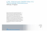 LTE- Advanced (3GPP Rel.11) Technology Introduction … · 2.10 Minimization of Drive Test (MDT) ... UMTS (Universal Mobile Telecommunications System) and CDMA2000, whereas the latter