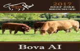 BEEF SIRE BROCHURE - Bova-AIbova-ai.com/wp-content/uploads/2017/02/Bova+AI+Beef... · BROCHURE Ballyart, Brittas, Limerick, Ireland. V94 YD80 Tel: 061- 351233 ... • Her sire Cabaret