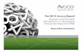 The 2013 Avoca Report€¦ · The 2013 Avoca Report ... for our 2013 Industry Survey, ... This report serves as an Executive Summary of key findings from the research. 3