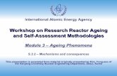 Workshop on Research Reactor Ageing and Self …ansn.bapeten.go.id/files/Module_3.2_Ageing_Phenomena_-_Mechanis… · Workshop on Research Reactor Ageing and Self-Assessment Methodologies