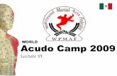 Acudo camp 2009 - WordPress.com · Anatomy and physiology in Martial Arts . The weaknesses in the body •The best way to abuse –Bones –Nerves –Blood vessels . Bones