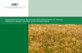 Agricultural Input Business Development in Africa ... Input Business Development in Africa: Opportunities, Issues and Challenges Economic Commission for Africa (ECA) Southern Africa