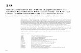 Instrumented In Vitro Approaches to Assess Epithelial ... · Instrumented In Vitro Approaches to Assess Epithelial Permeability of Drugs from Pharmaceutical Formulations ... sink