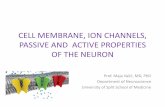 CELL MEMBRANE, ION CHANNELS, PASSIVE AND …neuron.mefst.hr/docs/katedre/neuroznanost/katedra_neuroznanost...CELL MEMBRANE, ION CHANNELS, PASSIVE AND ACTIVE PROPERTIES OF THE NEURON