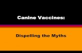 Vaccines - labbies.com Dogs immunized repeatedly with commercial vaccines do not always maintain adequate neutralizing antibody titers Neutralizing Antibody Titers of 9 Dogs (5-6 years