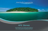 APS Borneoasia-pacific-superyachts.com/content/brochures/asia...Plaza Tg. Aru, Jln. Mat Salleh 88100 Tg. Aru, Kota Kinabalu Sabah,Malaysia OUR SERVICES TO THE CAPTAINS Cruise planning