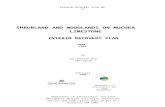 Shrublandand woodlands on Muchea Limestone … · Web viewINTERIM RECOVERY PLAN NO. 57 SHRUBLAND AND WOODLANDS ON MUCHEA LIMESTONE INTERIM RECOVERY PLAN 2000-2003 by Val English and