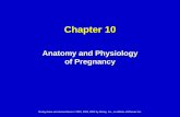 Mosby’s EMT-Basic Textbook II/Maternal Child Ch. 10.pdf · Mosby items and derived items © 2010, 2006, 2002 by Mosby, Inc., an affiliate of Elsevier Inc. 2 Gravidity and Parity