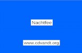 Nachtfee - cdvandt.org signal onto the Nachtfee internal time-reference by setting the. ... when the red and yellow pulses are over-lapping? ... the transit current.