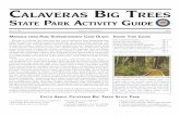 Calaveras B rees tate Park a uide - California State Parks · 1 Message froM Park suPerintendent gary olson Welcome to Calaveras Big Trees State Park, one of California’s most outstanding