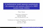 A mathematical model separates quantitatively the ...€¦ · tyrosine kinase inhibitor Peter Hinow ... Conference on System Modelling and Optimization Cracow, Poland July 23 ...