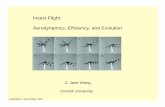 Insect Flight: Aerodynamics, Efficiency, and Evolution · Title: Microsoft PowerPoint - 2007-APSDFD-JaneWang-Archive.ppt Author: Ken Created Date: 3/18/2008 2:17:57 PM